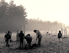 Pflanzung der Obstbäume