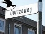 Mehlschwalbenprojekt am Oertzeweg