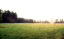 ehemalige Rinderwiese Kananohe