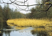 Schutzgebiet Engelbostel